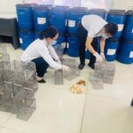 Quảng Ninh siết chặt giám sát trung gian truyền bệnh tại cửa khẩu