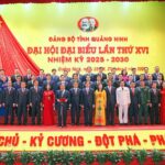 Tiến sỹ, bác sỹ Nguyễn Trọng Diện – Giám đốc Sở Y tế tái cử BCH Đảng bộ tỉnh, trúng cử đại biểu dự Đại hội Đảng toàn quốc lần thứ XIV, nhiệm kỳ 2025 – 2030