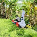 CDC Quảng Ninh triển khai nghiên cứu dịch tễ học và phòng chống bệnh Sán lá gan nhỏ