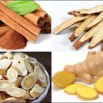 7 vị thuốc Đông y giúp bồi bổ cơ thể và tăng đề kháng trong mùa lạnh