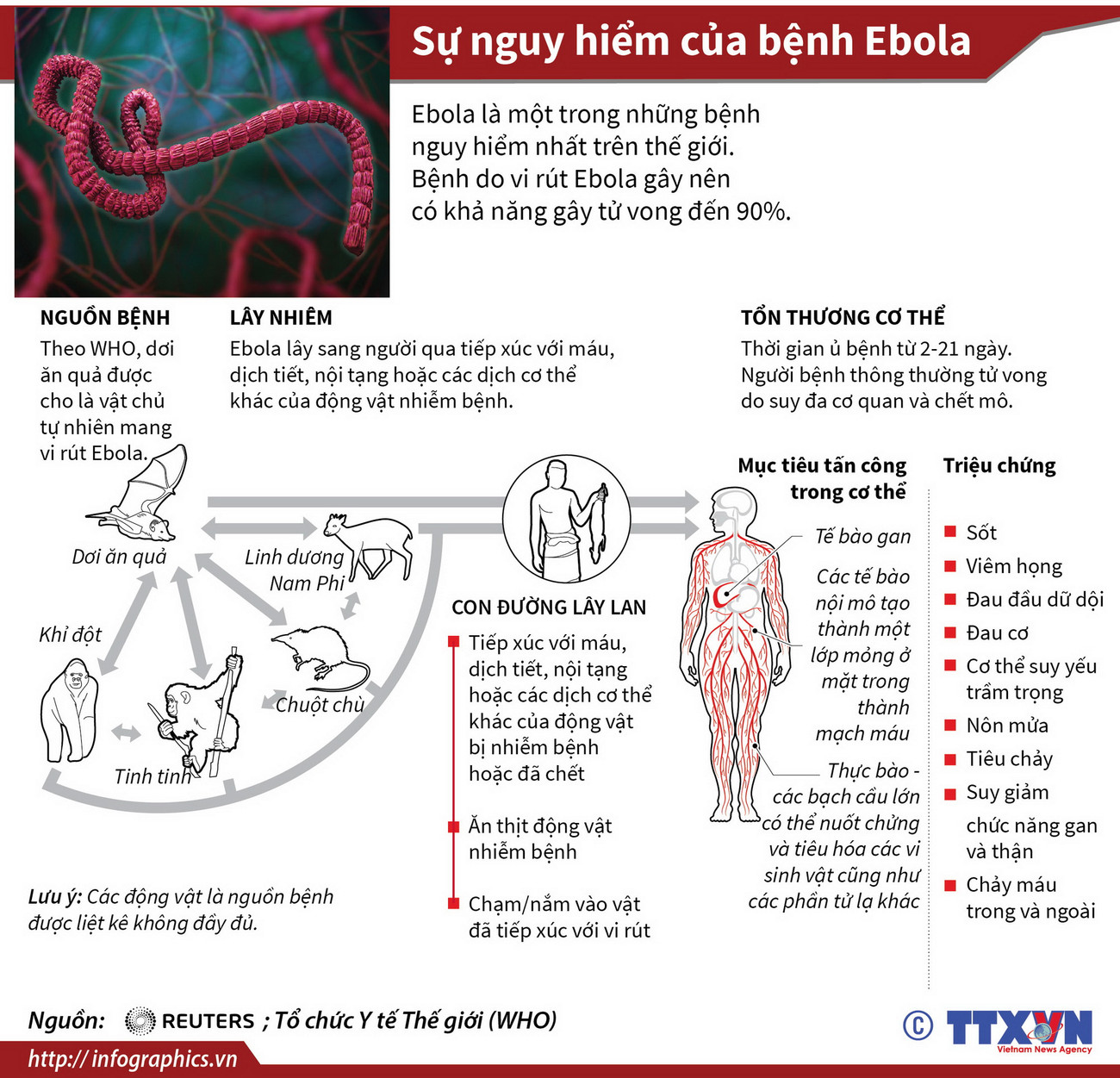 Infographics_ebola_1