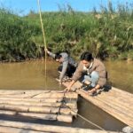 Điều tra dịch tễ học bệnh Sán lá gan nhỏ tại các xã miền núi Quảng Ninh: Nền tảng khoa học cho công tác dự phòng