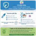Từ năm 2026: Bổ sung 2 vắc xin quan trọng vào chương trình tiêm chủng mở rộng