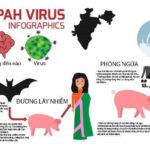 Quảng Ninh chủ động giám sát, tăng cường phòng chống dịch bệnh do vi rút Nipah