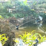 Giải mã nguy cơ âm thầm: Nghiên cứu thực địa về bệnh sán lá gán nhỏ tại khu vực biên giới tỉnh Quảng Ninh