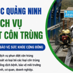 Côn trùng không chỉ gây phiền toái chúng còn mang mầm bệnh vào chính ngôi nhà của bạn