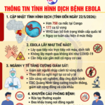 Ebola tiếp tục gia tăng tại châu Phi: Có nguy hiểm như COVID-19?
