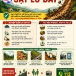 Phòng chống sạt lở tại tỉnh Quảng Ninh