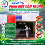 CDC QUẢNG NINH – DỊCH VỤ PHUN DIỆT CÔN TRÙNG CHUYÊN NGHIỆP